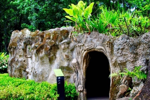 Nature and Culture: Botanical Garden and Lage Park in Rio
