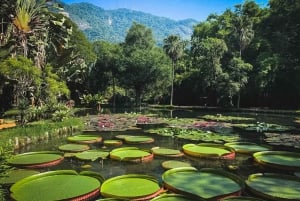 Nature and Culture: Botanical Garden and Lage Park in Rio