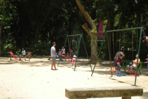 Nature and Culture: Botanical Garden and Lage Park in Rio