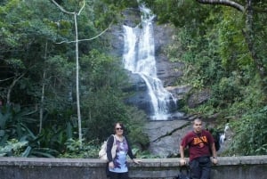 Nature's Marvels: Jardim Botânico & Tijuca Forest in Rio
