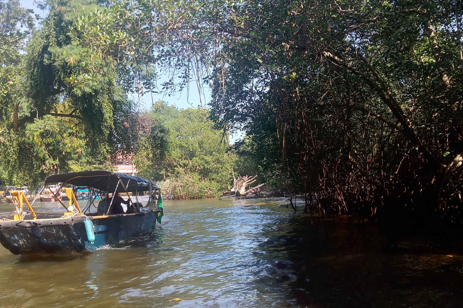 Pantanal of Rio de Janeiro