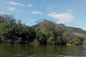 Pantanal of Rio de Janeiro
