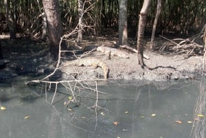 Pantanal of Rio de Janeiro
