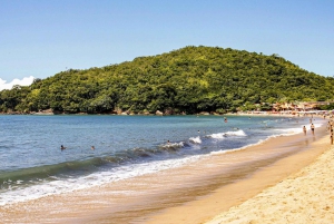 Paraty Forest Hike and Beach Snorkel: Full-Day Tour