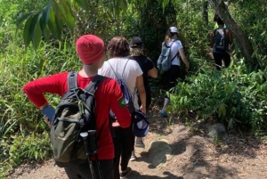 Paraty: Pão de Açucar Peak Trekking and Hiking Tour