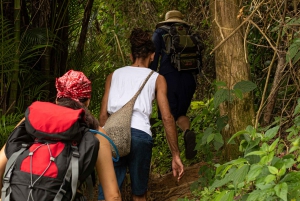 Paraty: Pão de Açucar Peak Trekking and Hiking Tour