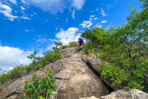 Paraty: Pão de Açucar Peak Trekking and Hiking Tour