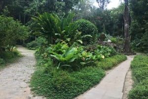 Parque Lage: Historic Mansion and Stunning Gardens in Rio