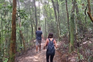 Pedra Bonita Trail: The easiest trail with a beautiful view of Rio