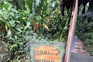 Pedra Bonita Trail: The easiest trail with a beautiful view of Rio
