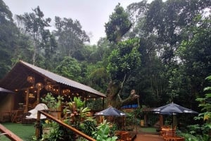 Pedra Bonita Trail: The easiest trail with a beautiful view of Rio