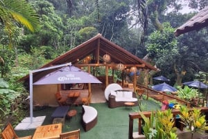 Pedra Bonita Trail: The easiest trail with a beautiful view of Rio