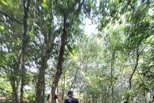 Pedra Bonita Trail: The easiest trail with a beautiful view of Rio