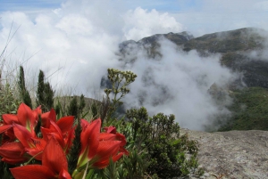 Pedra do Sino trekking - full day