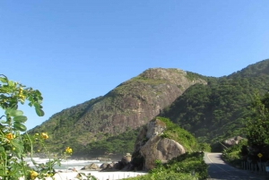 Pedra do Telégrafo Hike and Beach Full-Day Tour