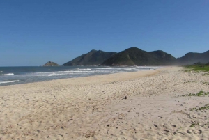 Pedra do Telégrafo Hike and Beach Full-Day Tour