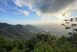 Petrópolis in Style: Royal City Private Day Tour