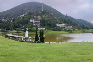 Petrópolis in Style: Royal City Private Day Tour