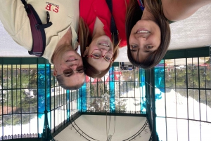 Petrópolis in Style: Royal City Private Day Tour