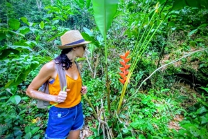 Rio de Janeiro Secluded Beaches: Hike+Swim Prainha & Grumari