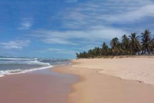 Private City Tour in Cabo Frio: Historic Center and Beaches