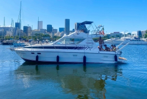 Private speedboat tour in Rio de Janeiro