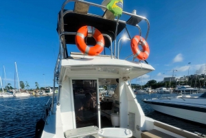 Private speedboat tour in Rio de Janeiro