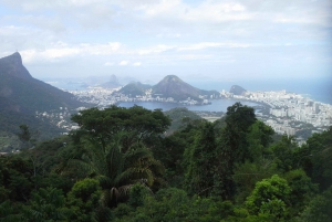 Private Tijuca Forest & Botanical Garden Guided Tour