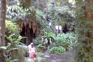 Private Tijuca Forest & Botanical Garden Guided Tour