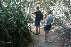 Private Tijuca Forest & Botanical Garden Guided Tour