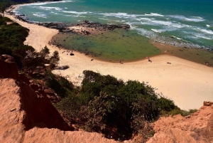 Quad Tour in Paradise - Pipa