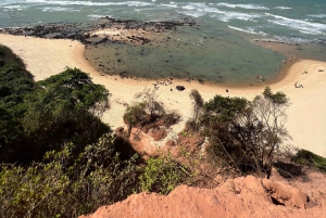 Quad Tour in Paradise - Pipa
