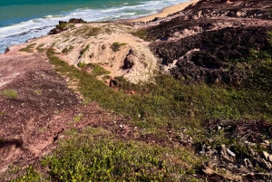 Quad Tour in Paradise - Pipa