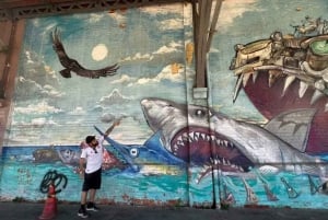 Rio Art Expedition: A Journey Through Rio's Urban Landscape.