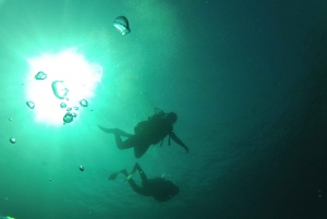 Rio: Best Dive Experience All Inclusive Scuba Diving Package