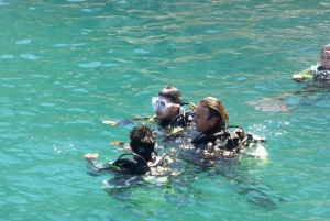 Rio: Best Dive Experience All Inclusive Scuba Diving Package