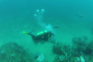 Rio: Best Dive Experience All Inclusive Scuba Diving Package