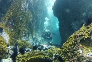 Rio: Best Dive Experience All Inclusive Scuba Diving Package