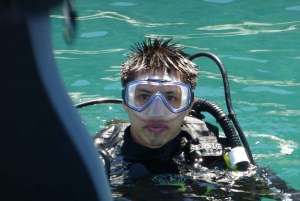 Rio: Best Dive Experience All Inclusive Scuba Diving Package