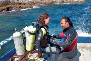 Rio: Best Dive Experience All Inclusive Scuba Diving Package