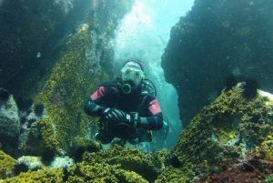 Rio: Best Dive Experience All Inclusive Scuba Diving Package