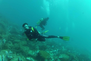 Rio: Best Dive Experience All Inclusive Scuba Diving Package