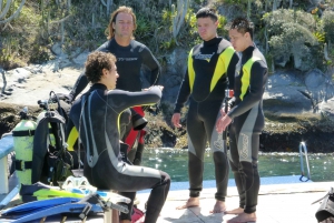 Rio: Best Dive Experience All Inclusive Scuba Diving Package