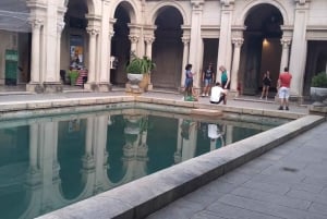 Rio: Botanical Garden, Tijuca Forest, and Parque Lage Tour