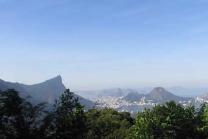 Rio: Botanical Garden, Tijuca Forest, and Parque Lage Tour