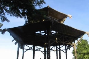 Rio: Botanical Garden, Tijuca Forest, and Parque Lage Tour