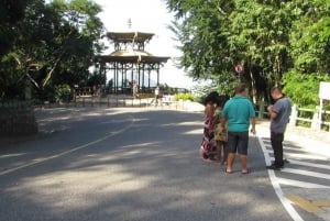 Rio: Botanical Garden, Tijuca Forest, and Parque Lage Tour