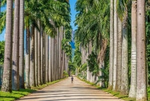 Rio: Botanical Garden, Tijuca Forest, and Parque Lage Tour