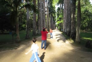 Rio: Botanical Garden, Tijuca Forest, and Parque Lage Tour