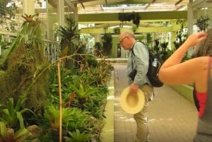 Rio: Botanical Garden, Tijuca Forest, and Parque Lage Tour